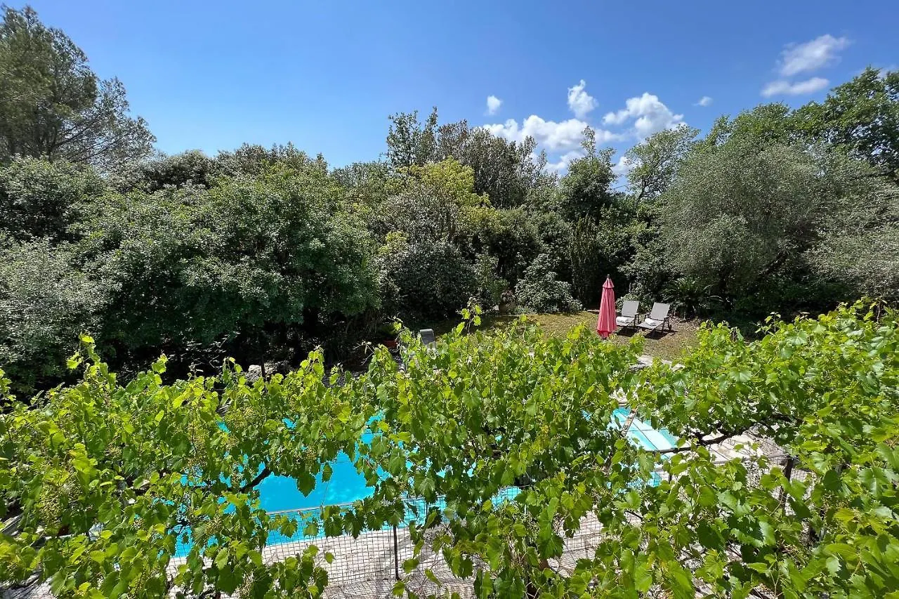 Serenity Villa For 8 By Sunset Grasse